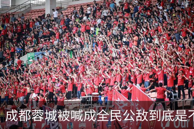 成都蓉城被喊成全民公敌到底是不是真的，看完五月申花主场那场六万多人看球就知道答案